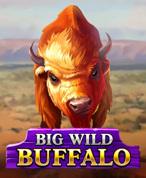 Play Big Wild Buffalo at Vavada Casino